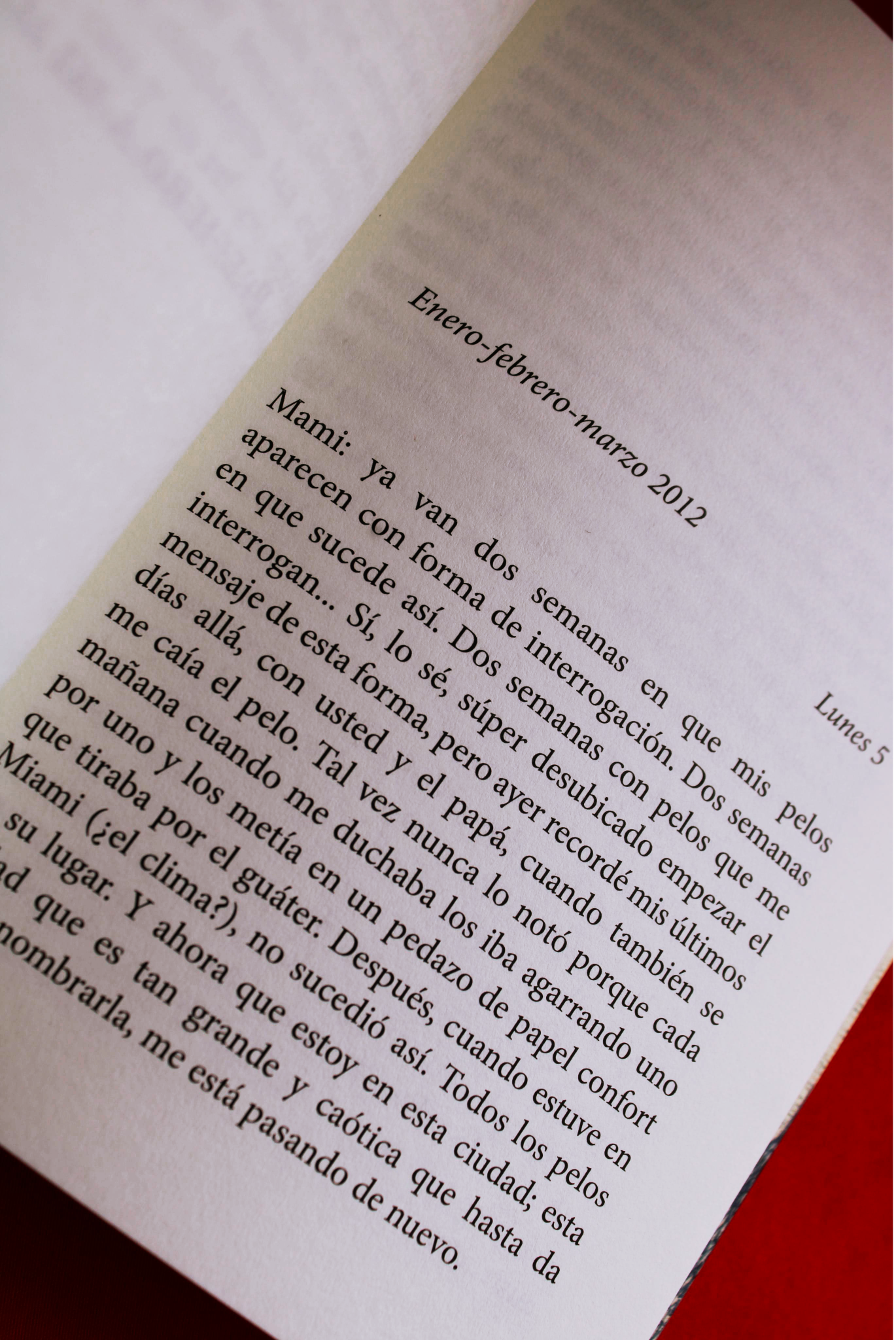 La experiencia formativa