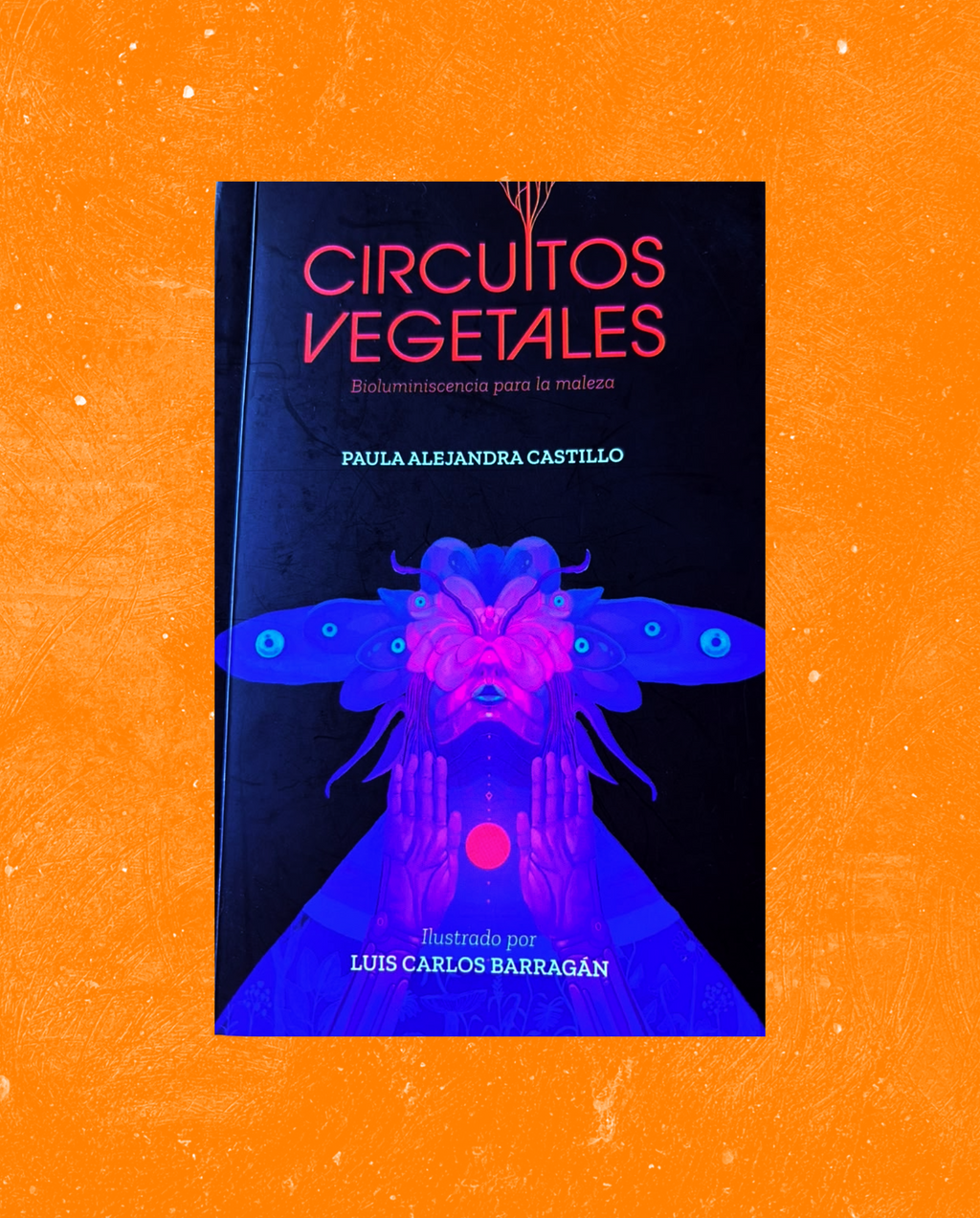 Circuitos vegetales