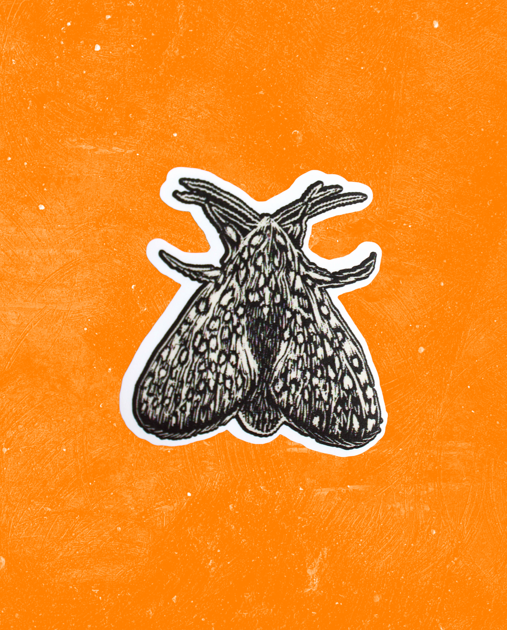 Sticker Mariposa