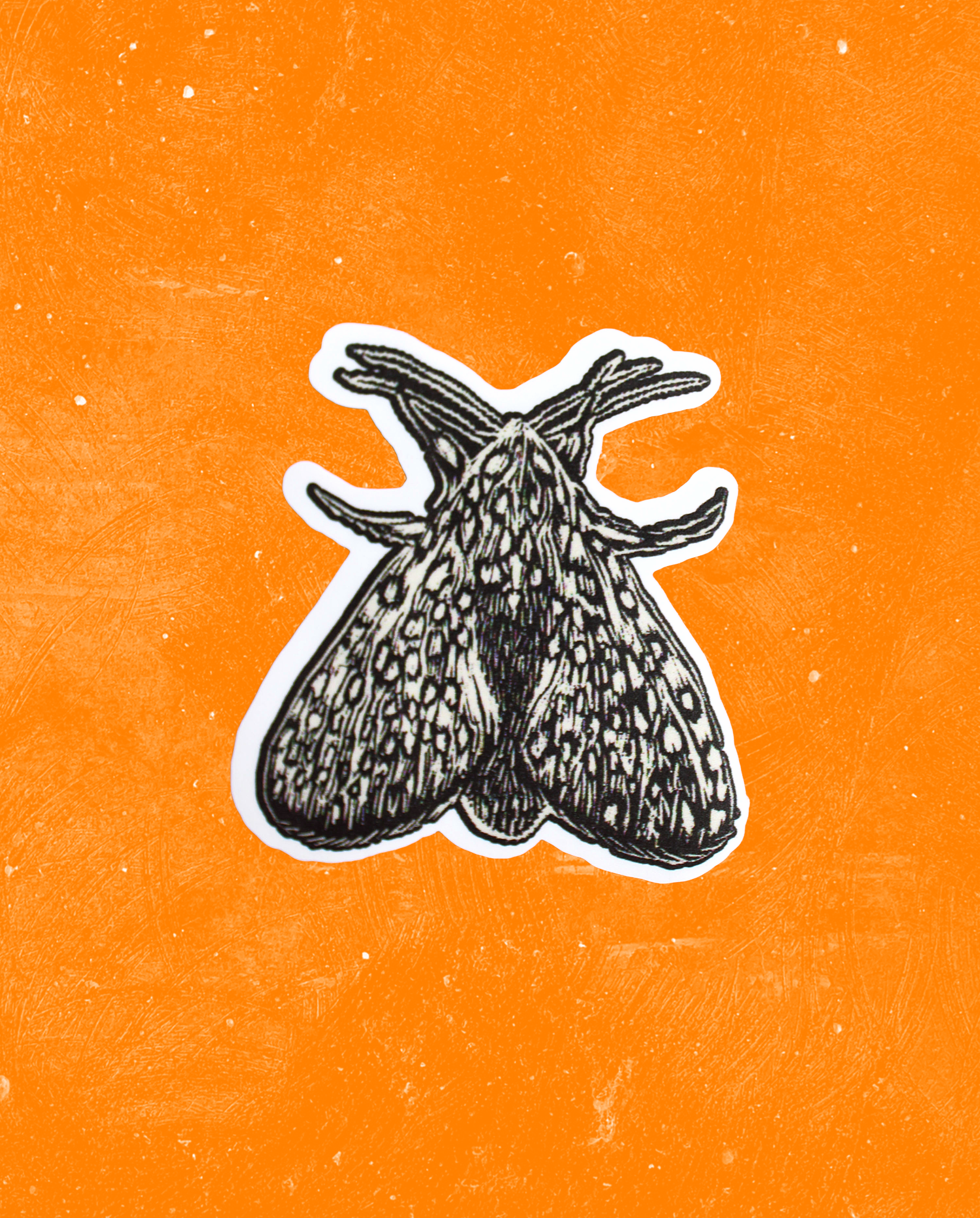 Sticker Mariposa