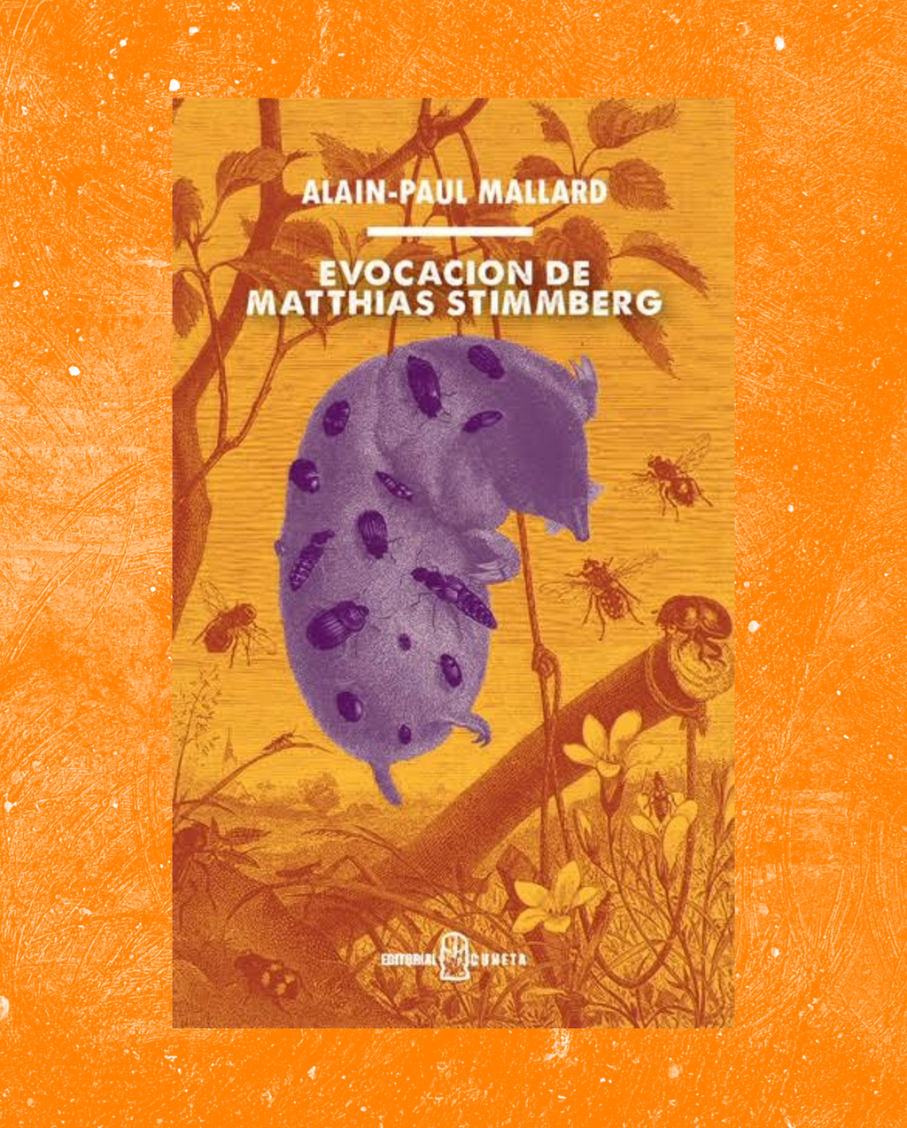 Evocación de Matthias Stimmberg