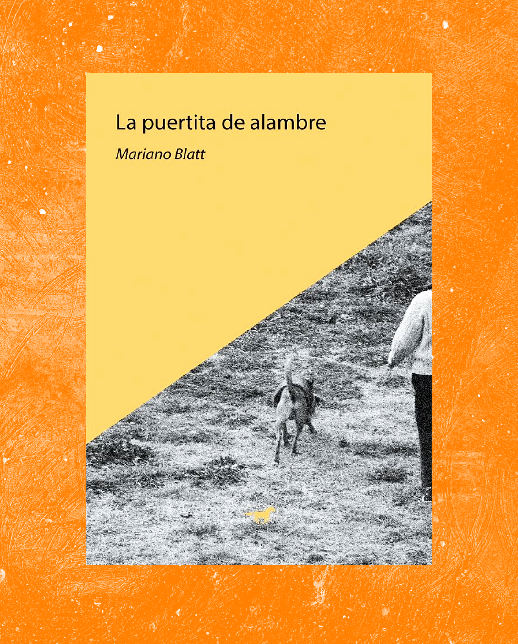La puertita de alambre