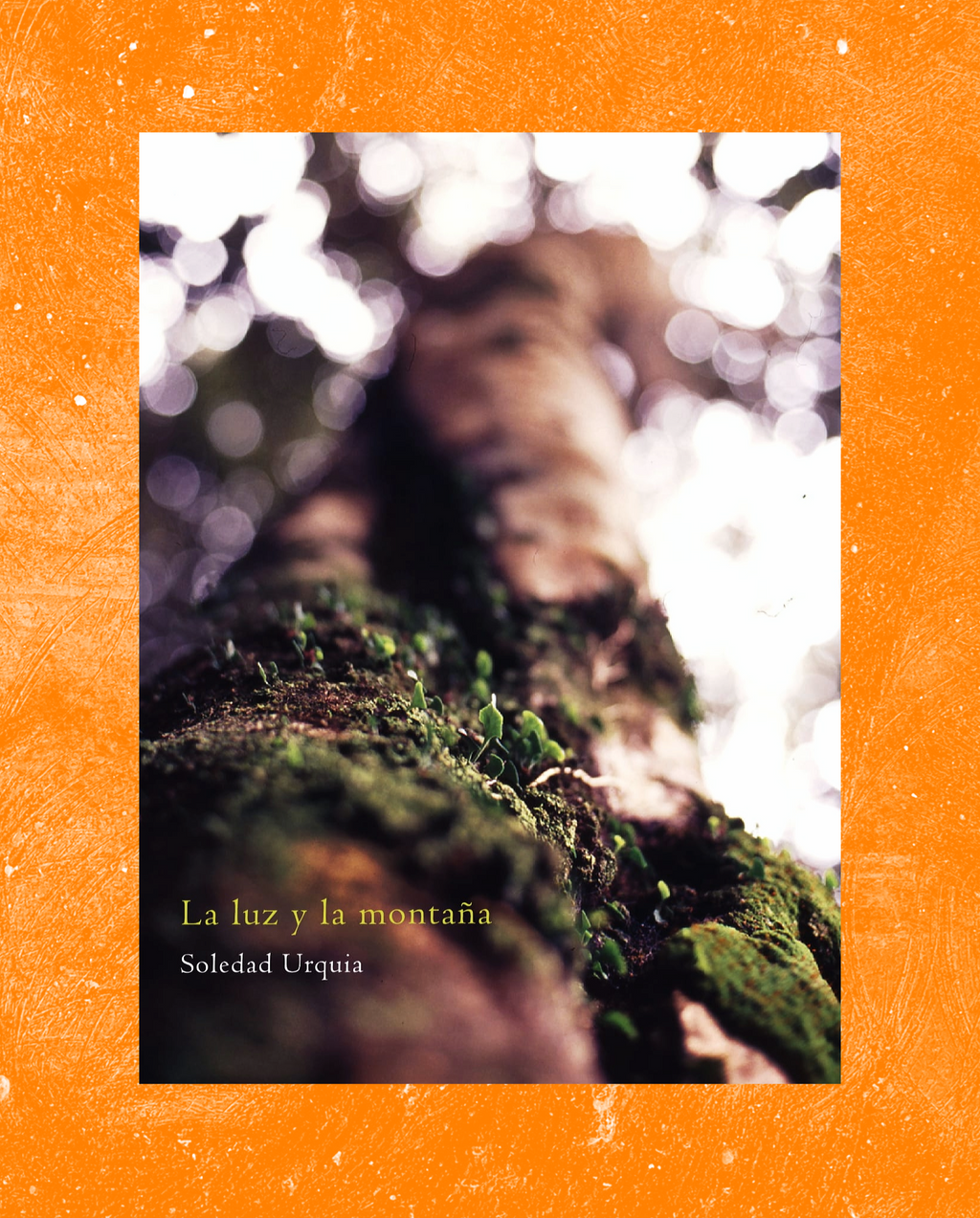 La luz y la montaña