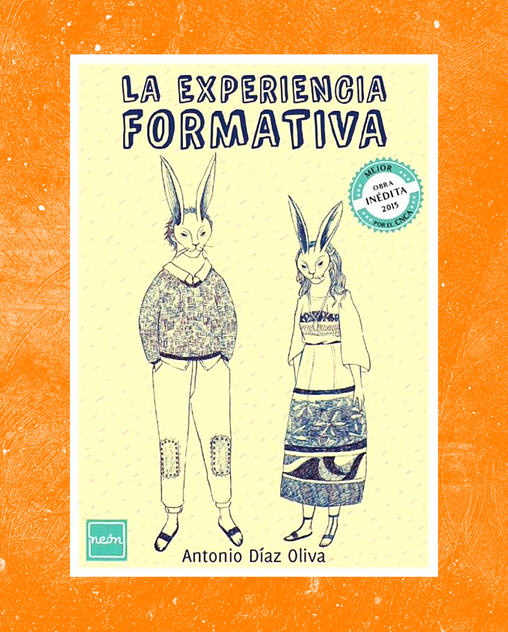 La experiencia formativa