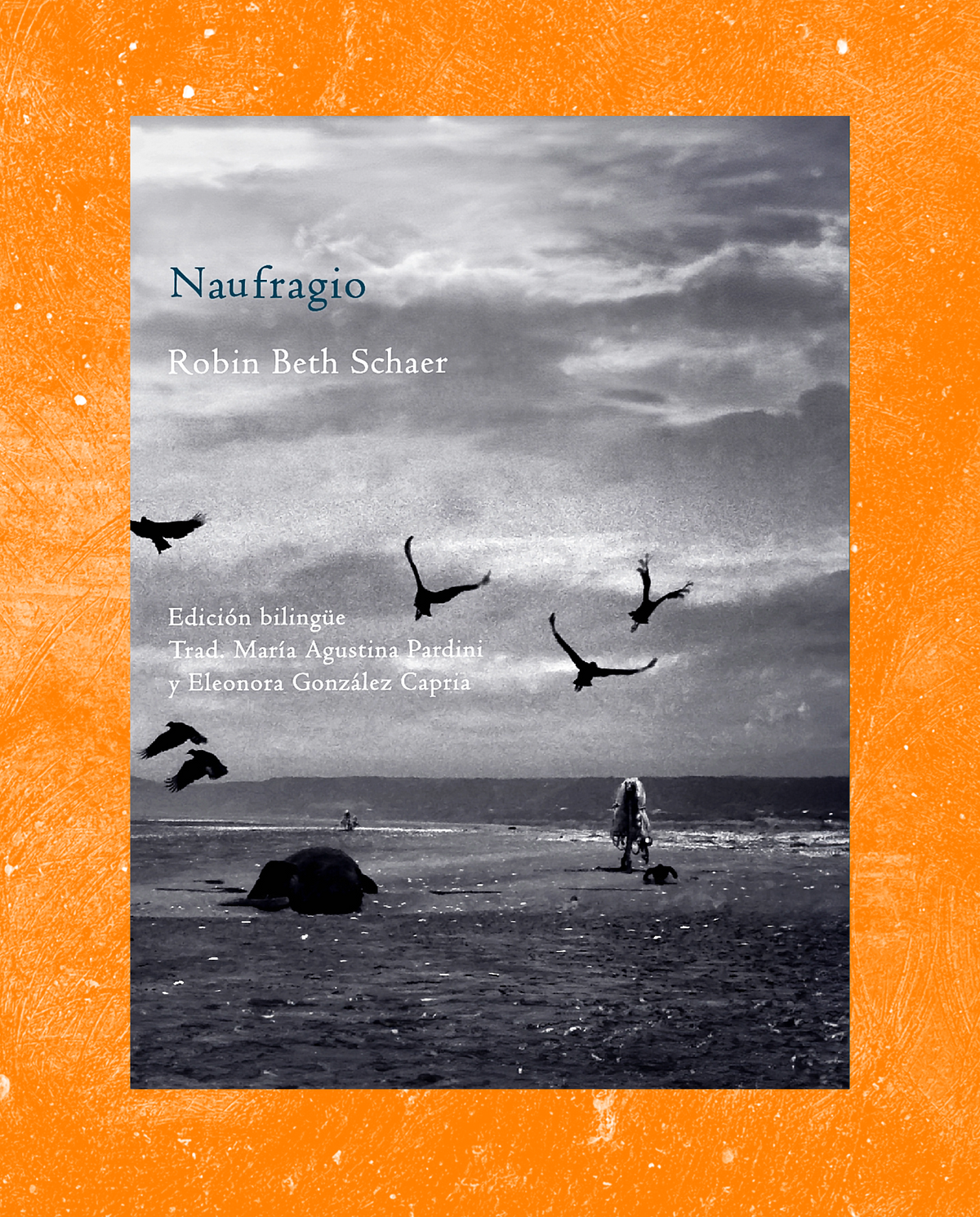Naufragio