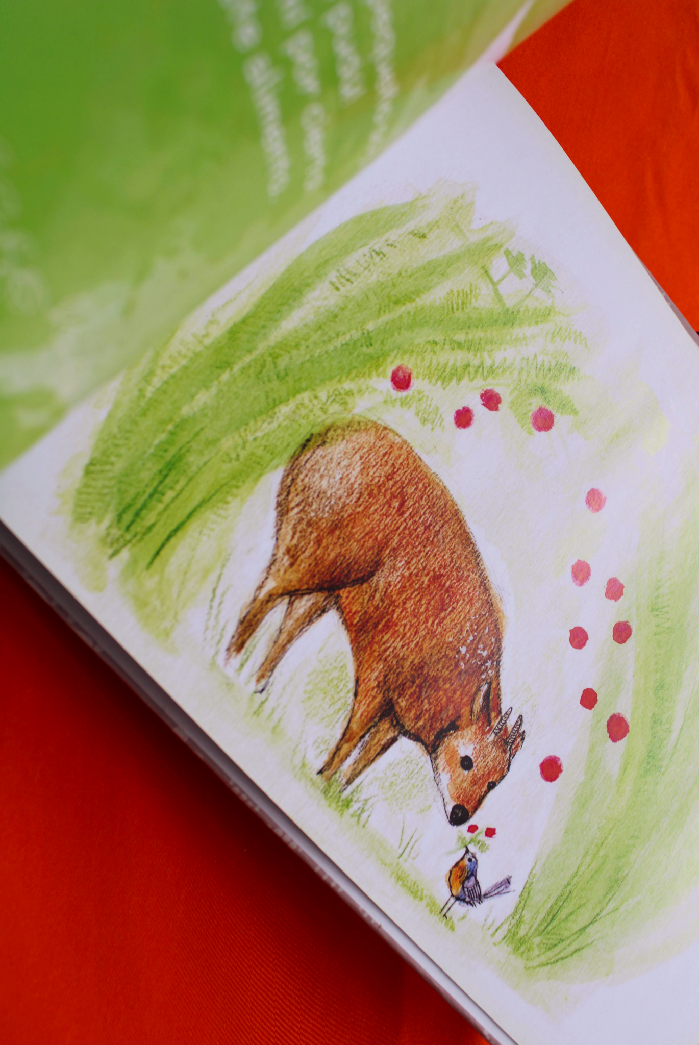 Encuentros cercanos (del tipo silvestre)