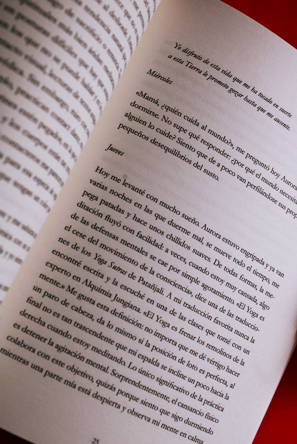 La luz y la montaña