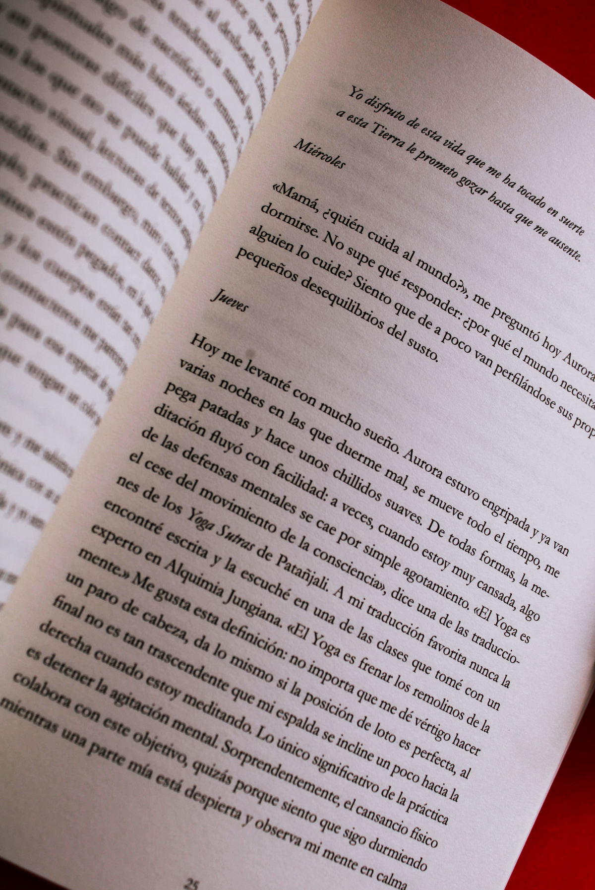 La luz y la montaña