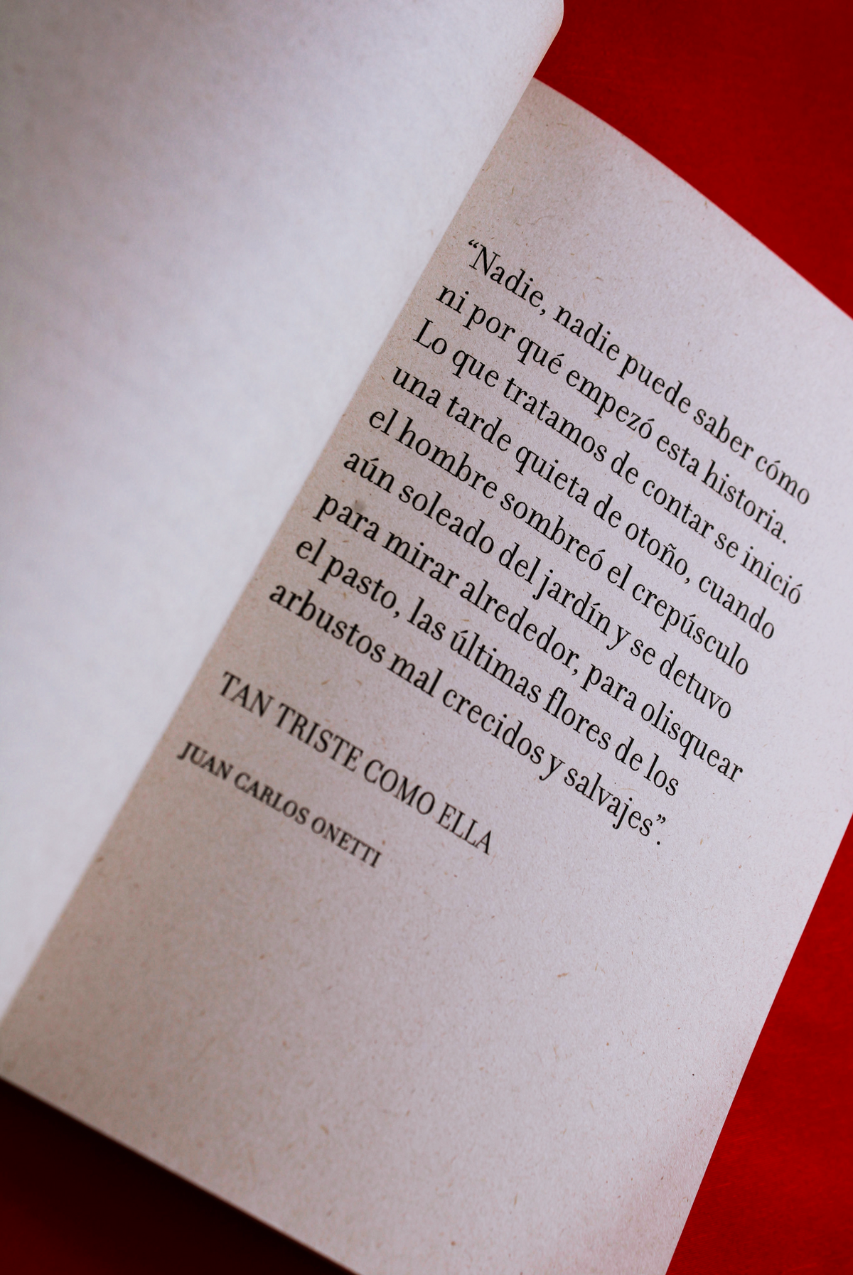 Tan triste como ella / Réquiem por Faulkner
