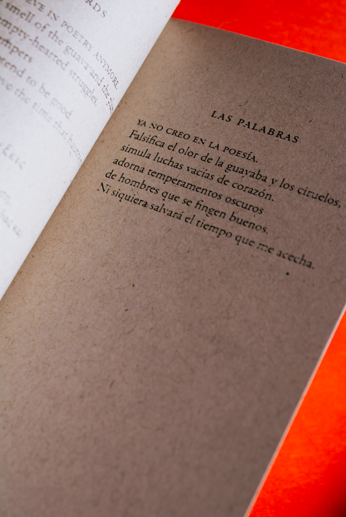 Canción falsa