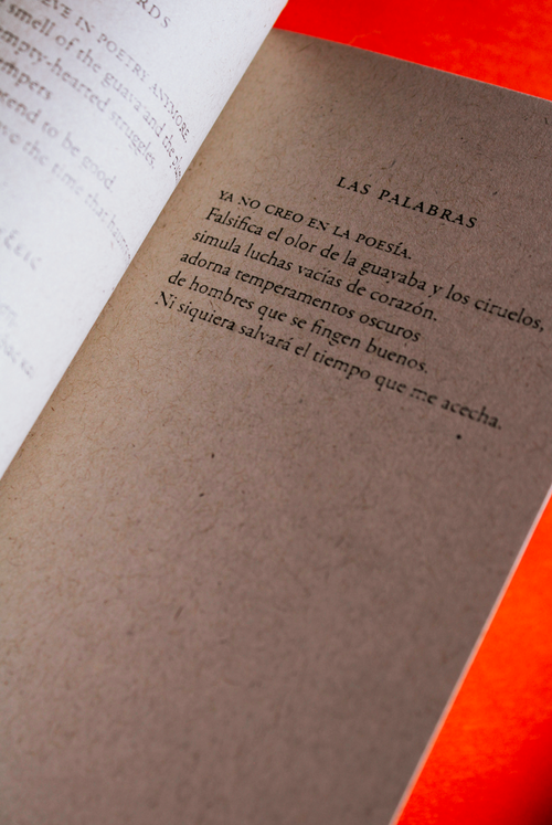 Canción falsa