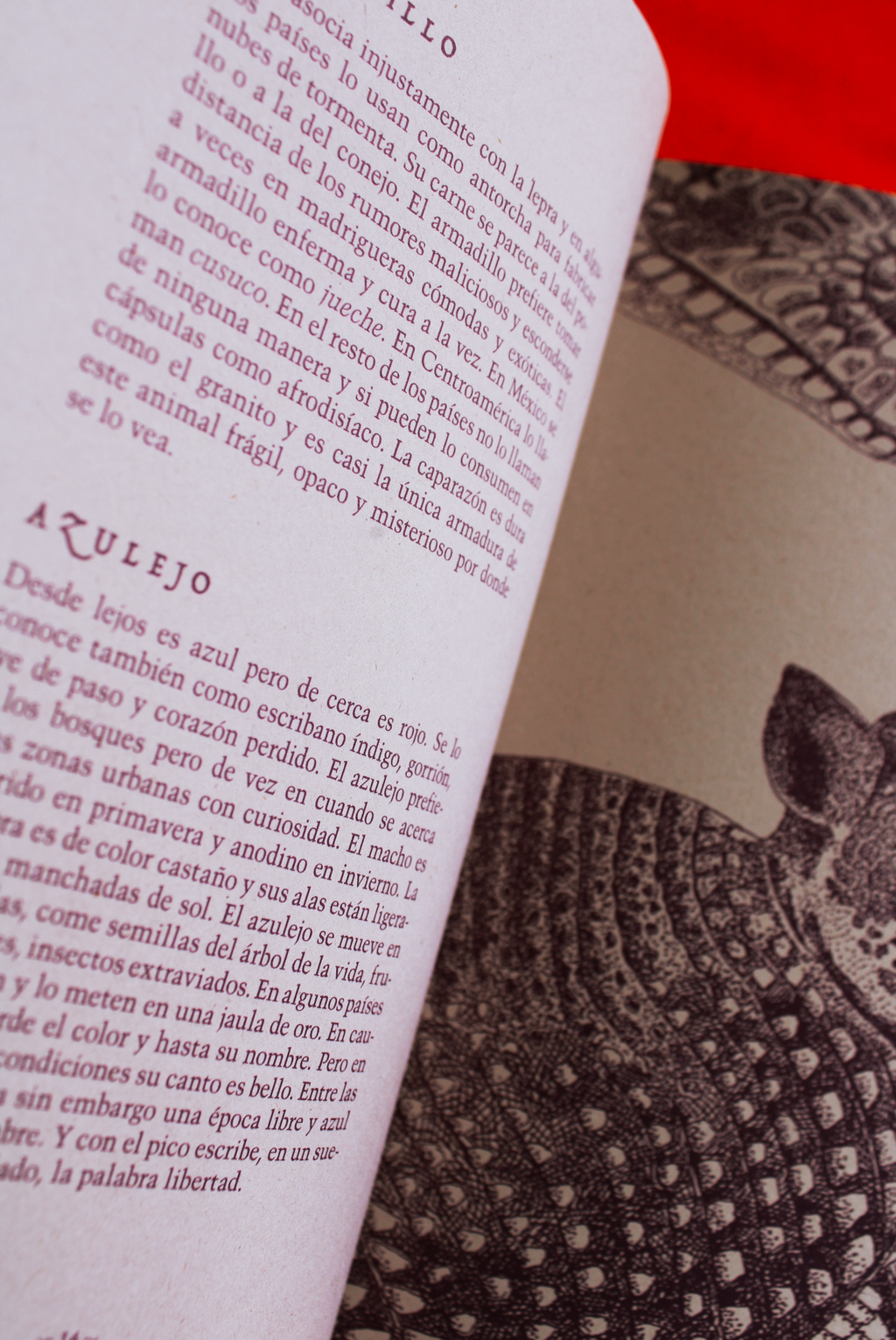 Bestiario levemente melancólico