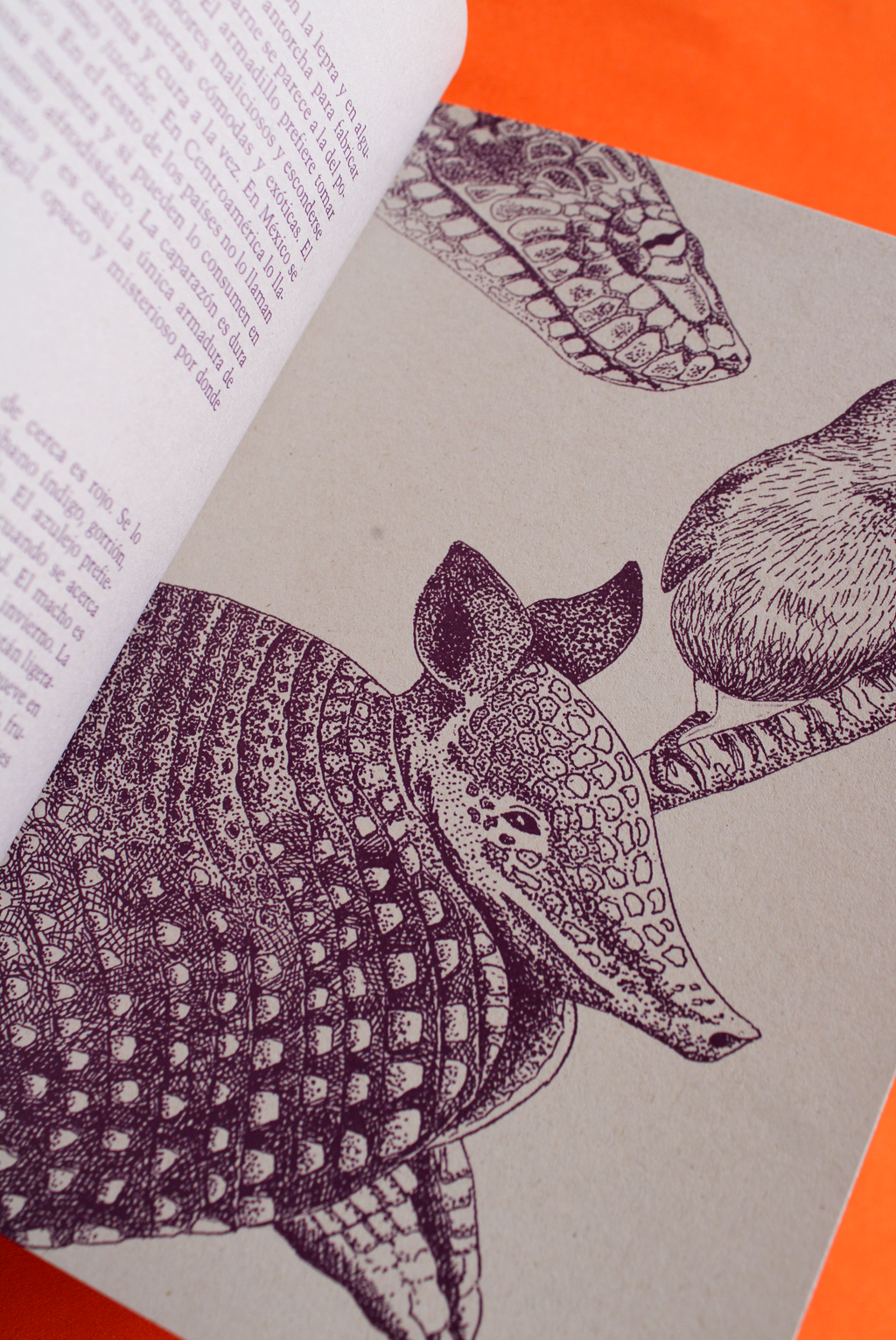 Bestiario levemente melancólico