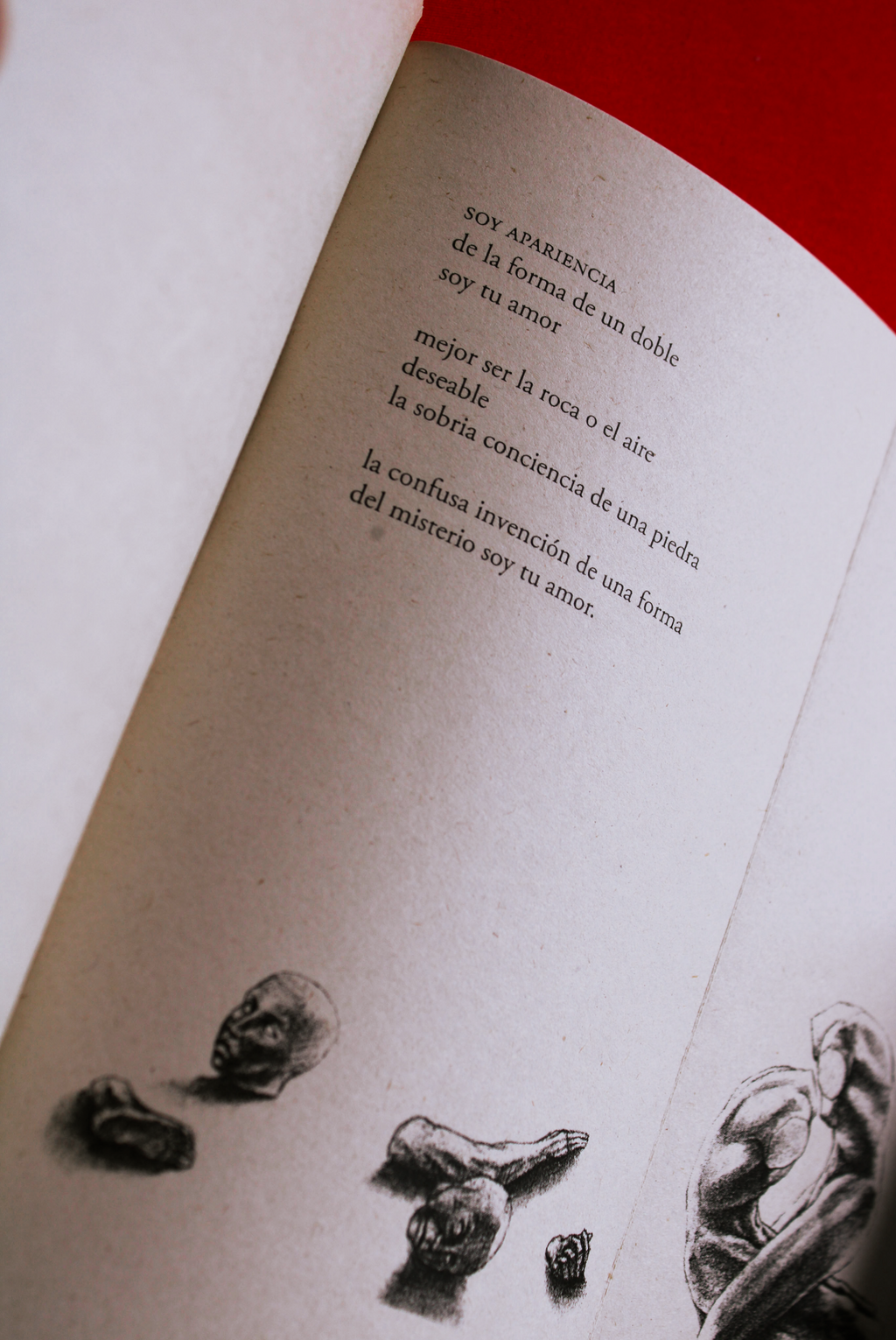 Sobre la niebla
